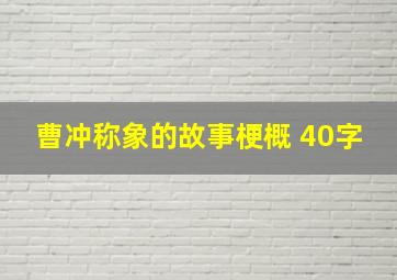 曹冲称象的故事梗概 40字